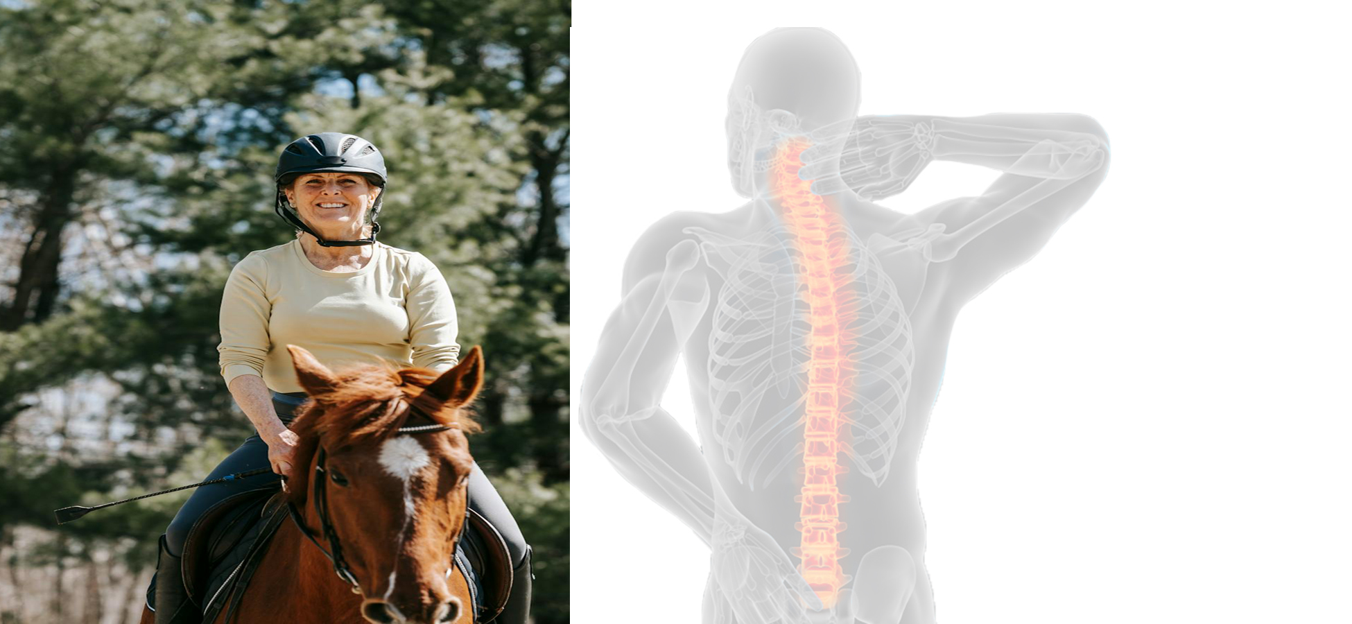 Reactivate Stem Cells