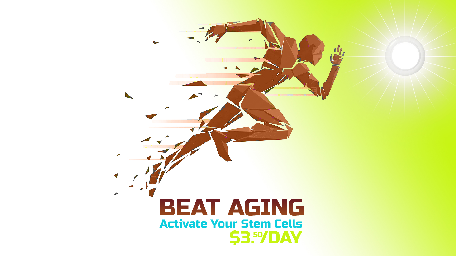 Reactivates Stem Cells